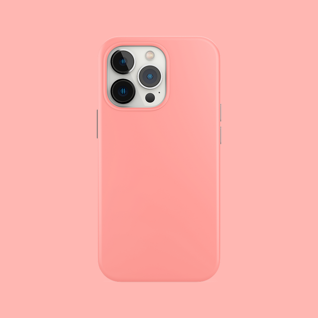 ONECOLOR & MINIMAL